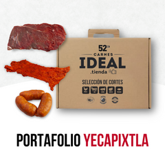 Portafolio Yecapixtla